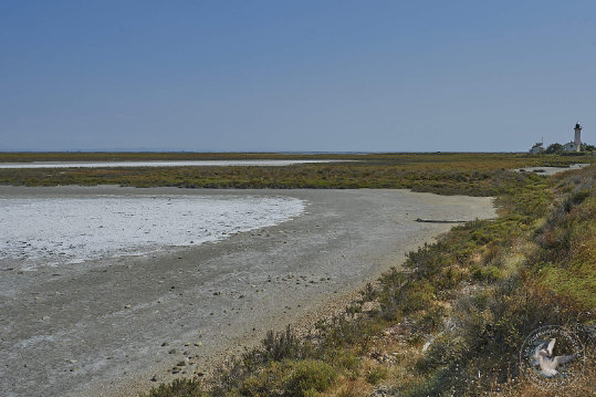 Paysages de Camargue