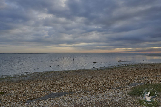 Paysages de Camargue
