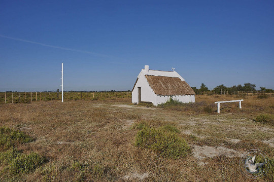 Traditional Camargue hut