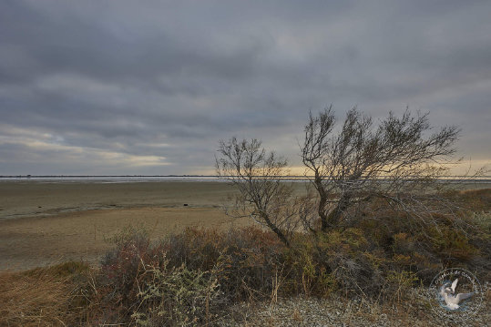 Paysages de Camargue
