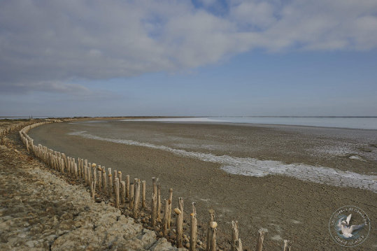 Paysages de Camargue