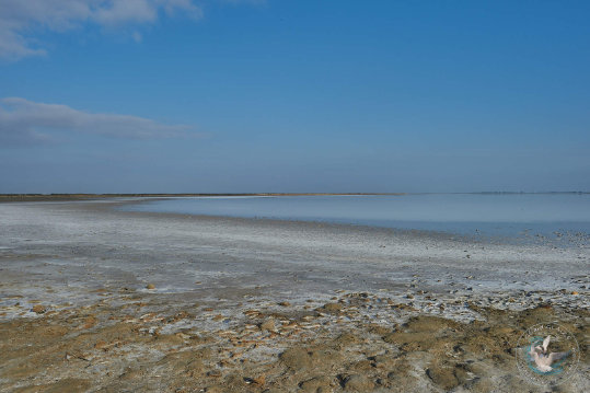 Paysages de Camargue