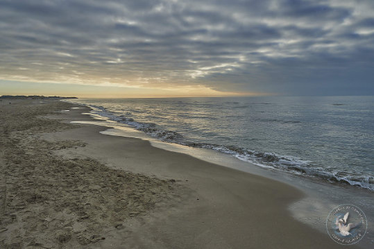 Paysages de Camargue