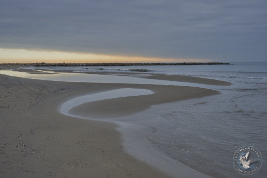 Paysages de Camargue