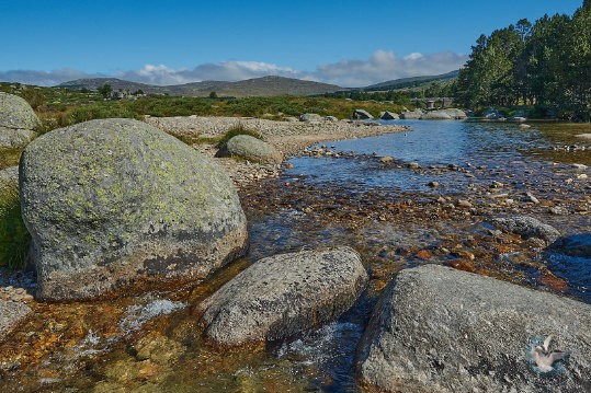 Paysages des Cévennes
