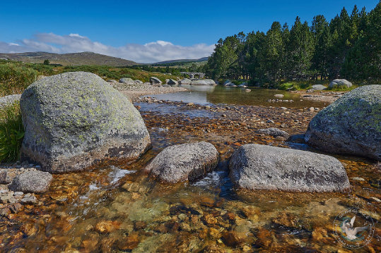 Paysages des Cévennes