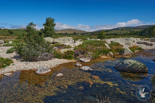 Paysages des Cévennes