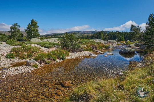 Paysages des Cévennes