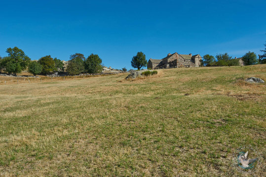 Paysages des Cévennes