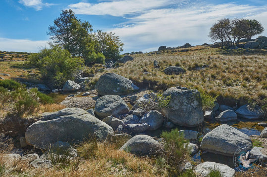 Paysages des Cévennes