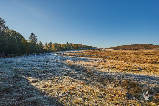 Paysages des Cévennes