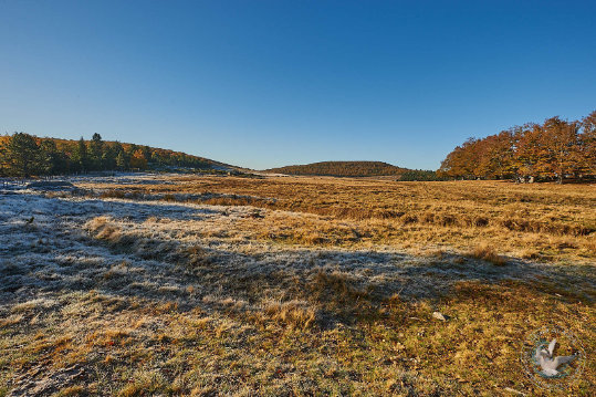 Paysages des Cévennes