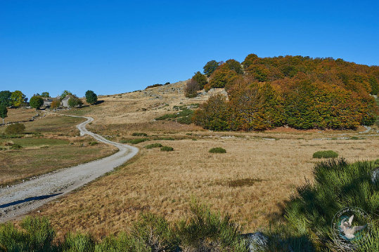 Paysages des Cévennes