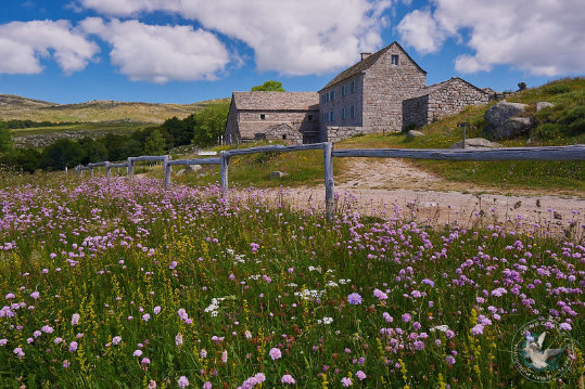 Paysages des Cévennes