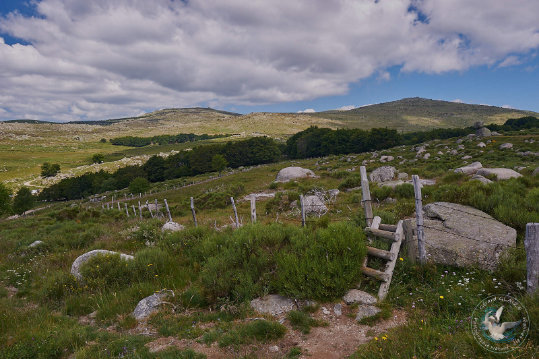 Paysages des Cévennes