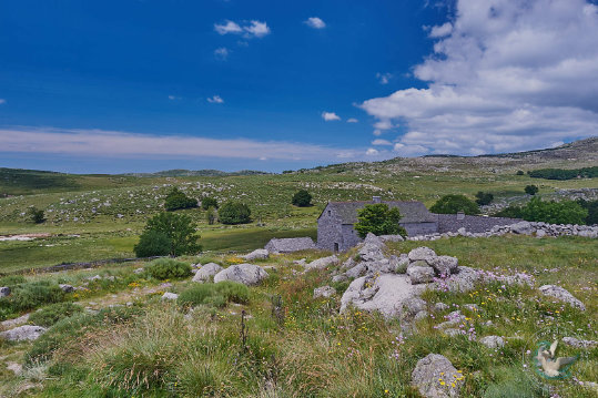 Paysages des Cévennes