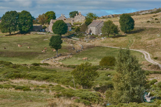 Paysages des Cévennes