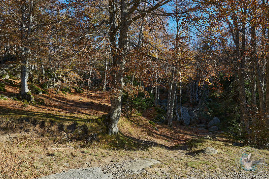 Paysages des Cévennes