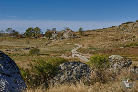 Paysages des Cévennes