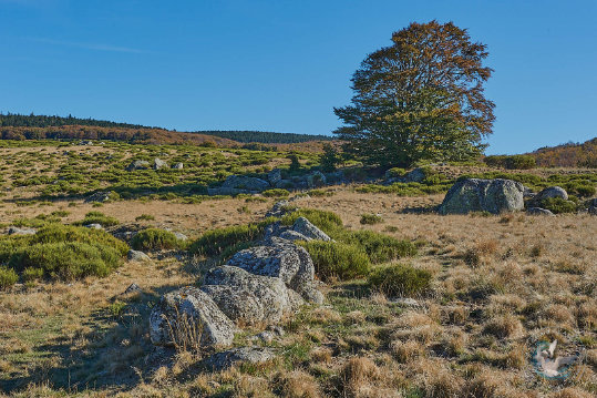 Paysages des Cévennes