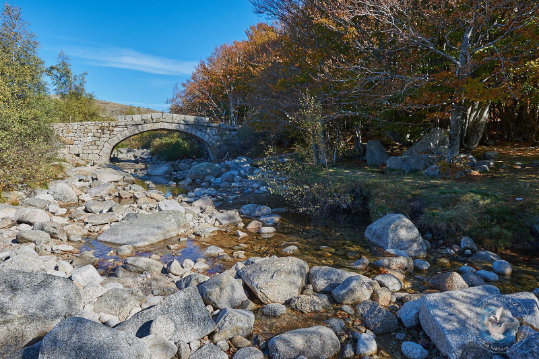 Paysages des Cévennes