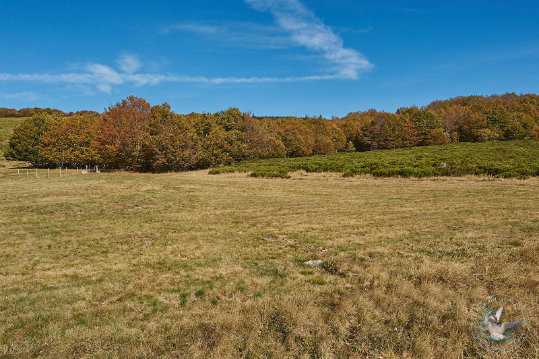 Paysages des Cévennes