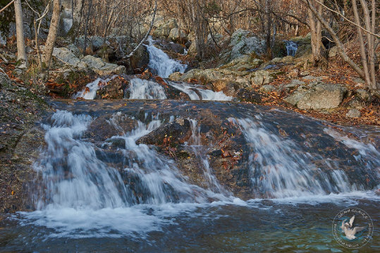 Paysages des Cévennes