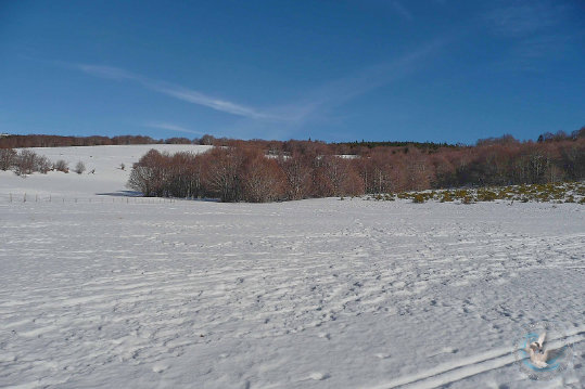 Paysages des Cévennes
