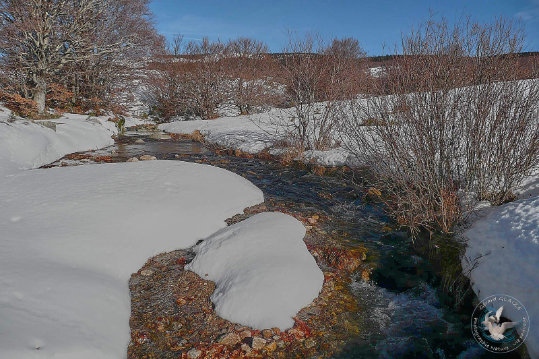 Paysages des Cévennes