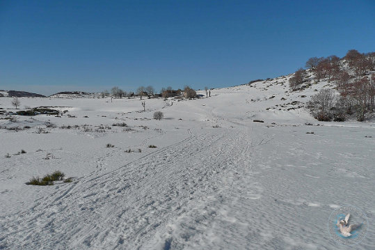 Paysages des Cévennes