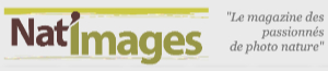Logo revue Nat-Image