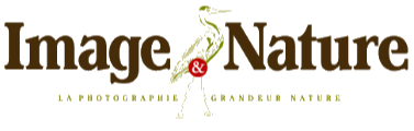 logo-Image & Nature