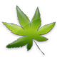 logo-tree-leaf