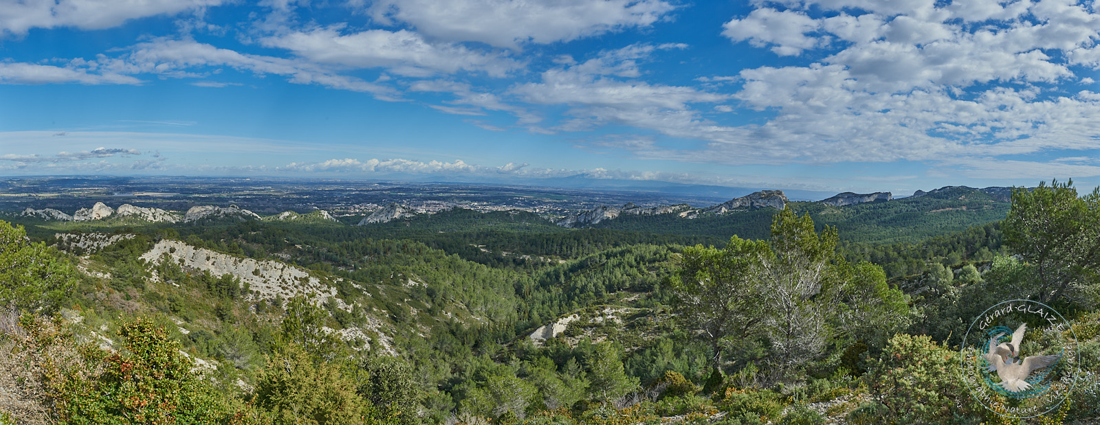 Panorama Les Alpilles