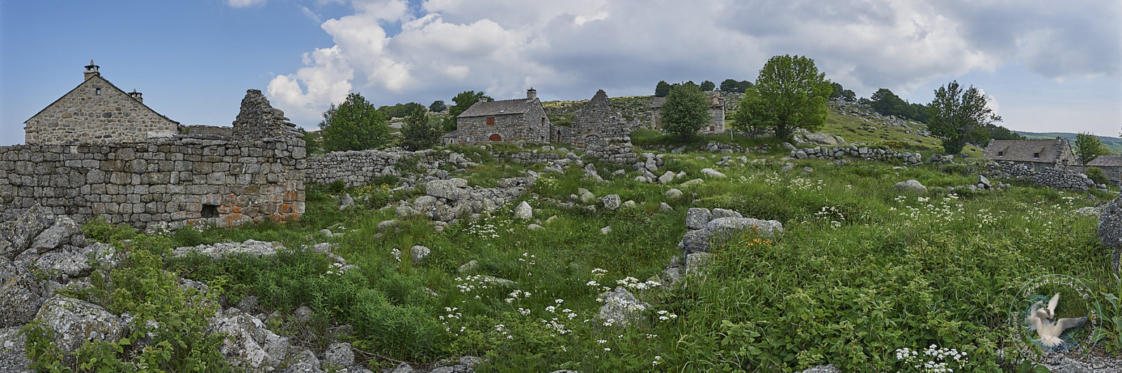 Panoramas