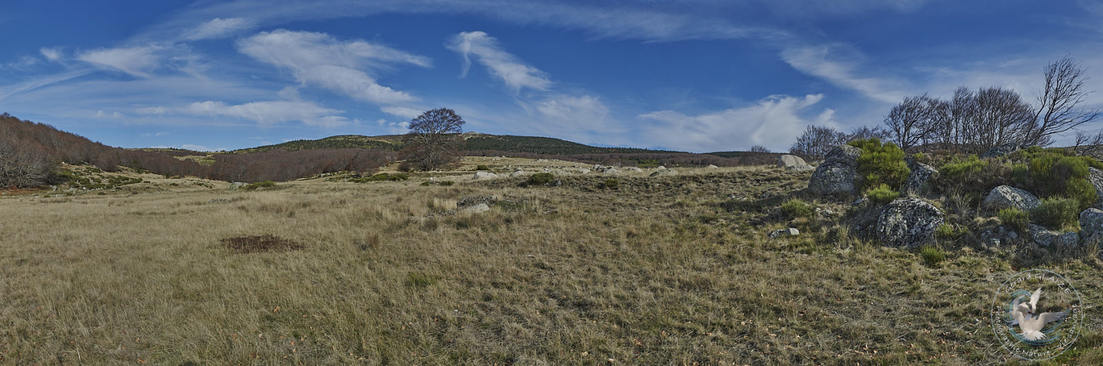 Panoramas