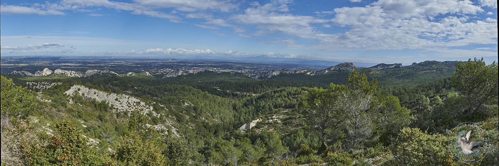 the Panoramas