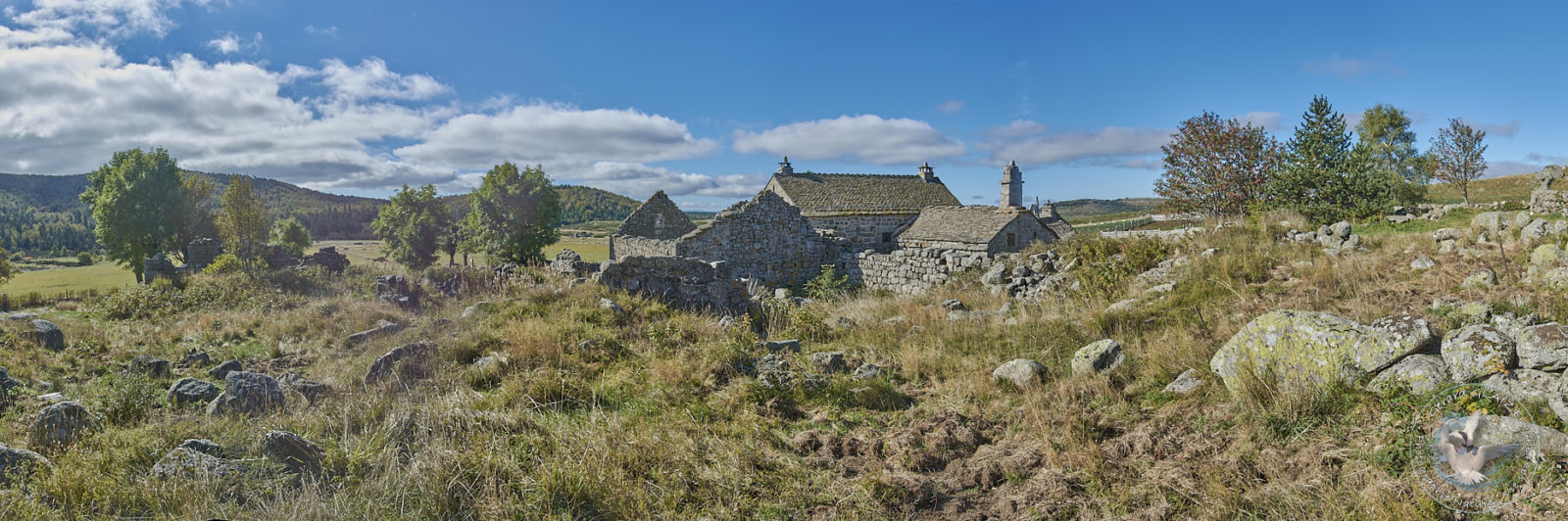 Panoramas