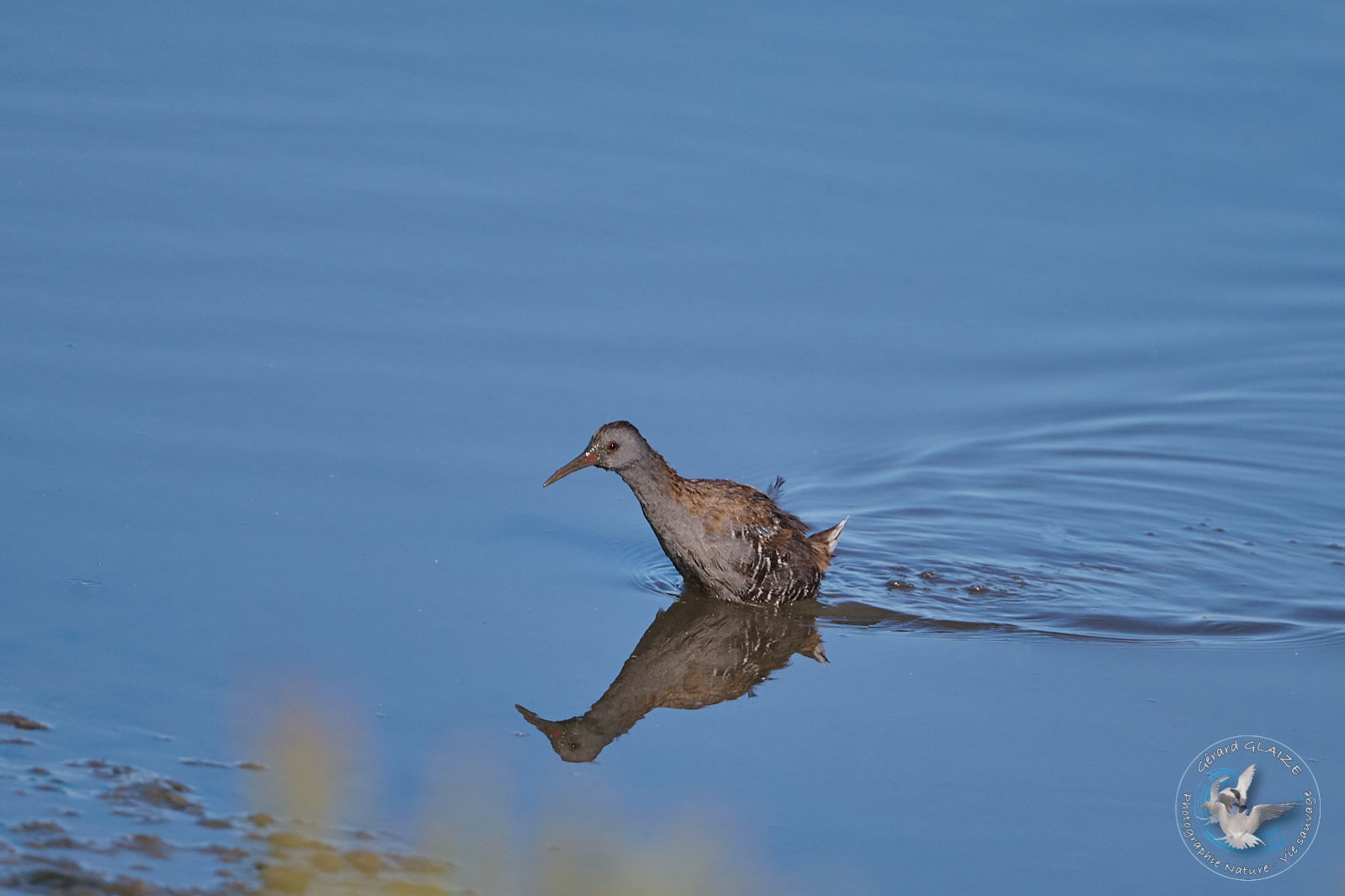 Photo du mois - Photo of the month