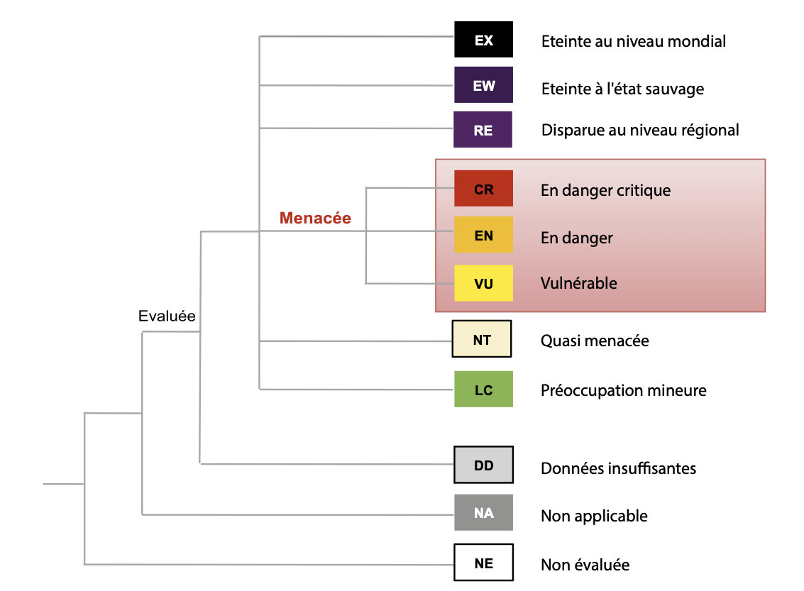 tableau UICN