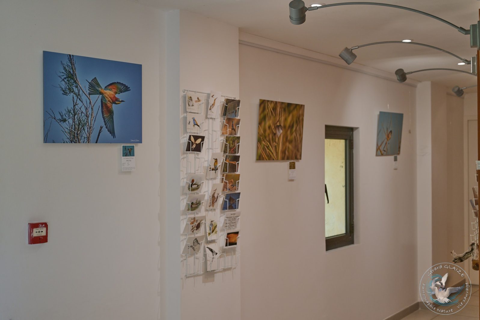Exposition La Marette 2025