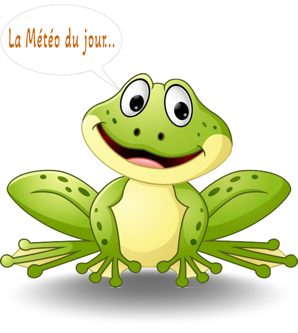 Grenouille météo